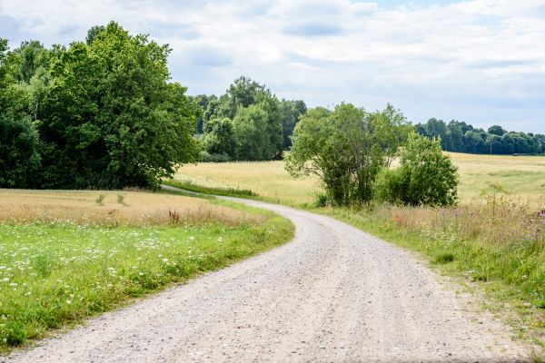 Stone Driveway Repair in Hendersonville