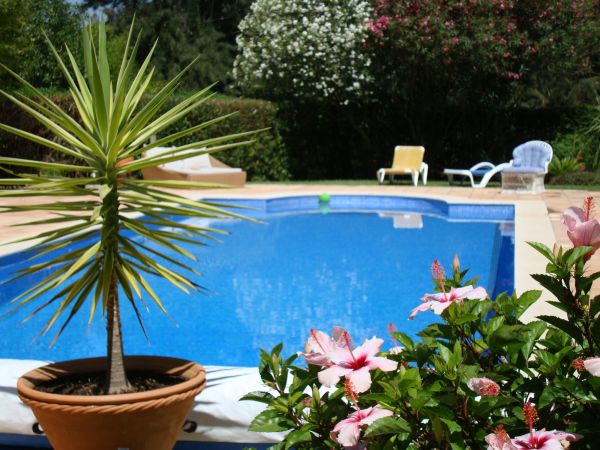 Cost of Pool Terrace Renovation in Hendersonville